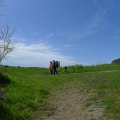 GirlsWildCat 033 : GirlsWildCat